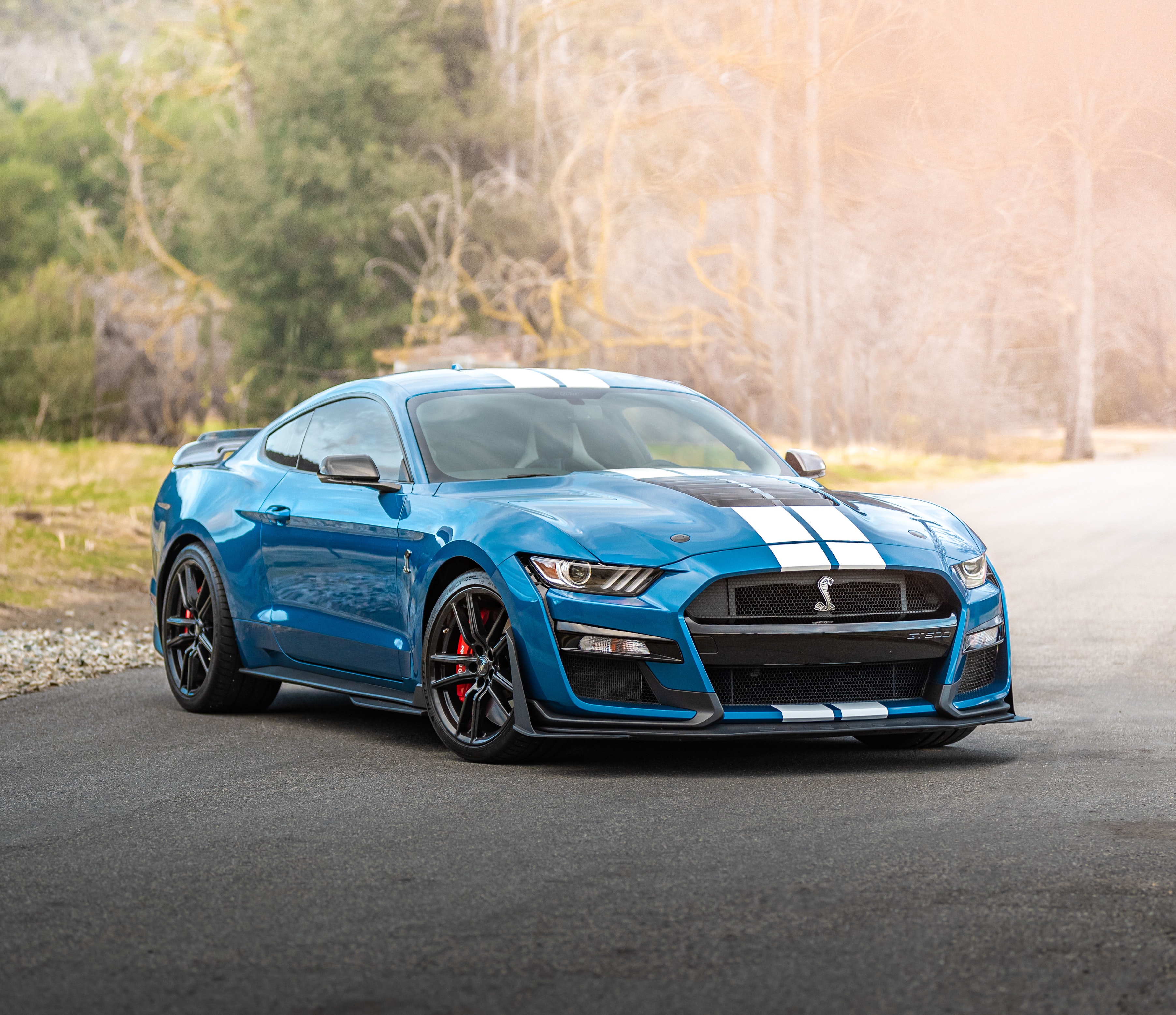 Ford – Shelby GT