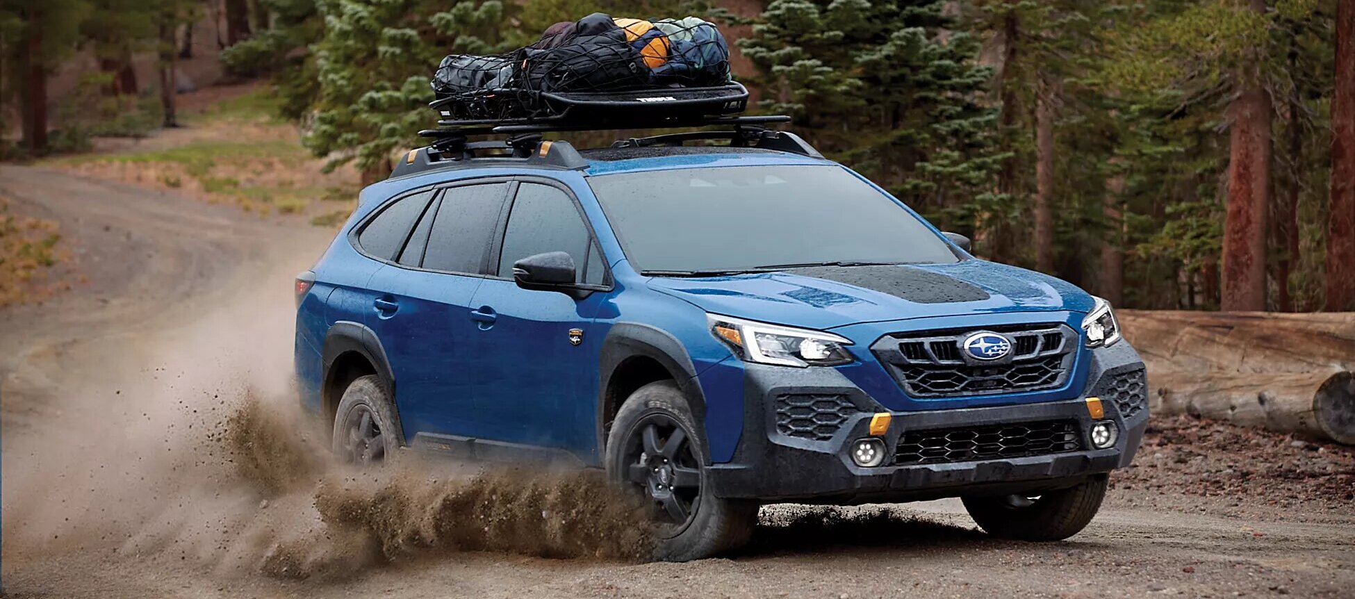 2024 Outback by Subaru